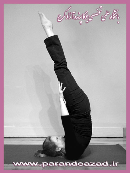 ,Yoga,یوگا,یوگاکرج,کلاس یوگا,آموزش یوگا,ساروانگاسانا,ایستادن روی شانه, نیرالامبا ساروانگاسانا,یوگا کرج,آرامش مغز,کاهش استرس,کاهش افسردگی,درمان یبوست,زیبایی,شادابی,سلامتی,باشگاه یوگا پرنده آزاد,وضعیتهای معکوس یوگا,